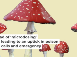 Amanita mushrooms are commonly used in mushroom-based products. Kateryna Kon/Science Photo Library via Getty Images